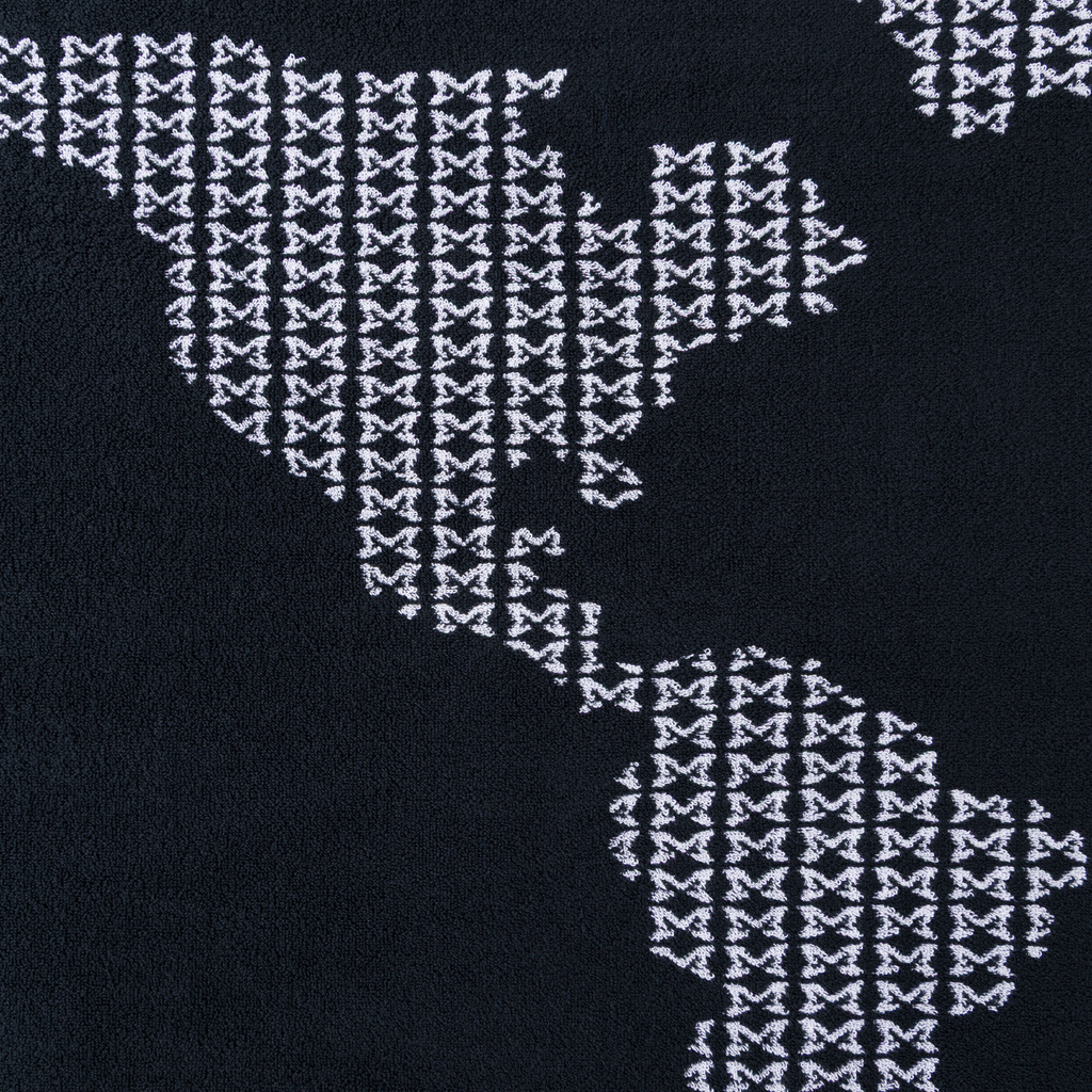 World Map Towel